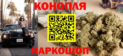 СК Краснознаменск