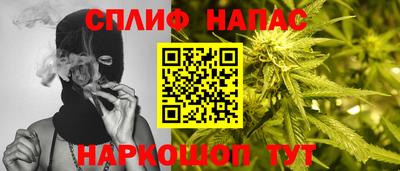 СК Краснознаменск