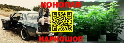 СК Краснознаменск