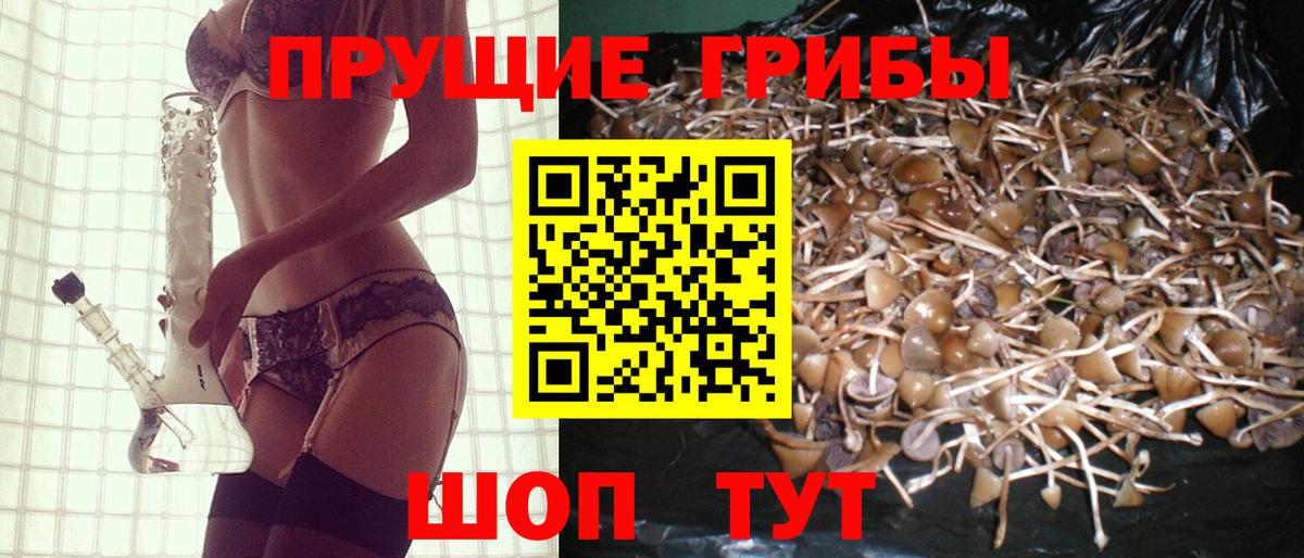 Галлюциногенные грибы Magic Shrooms Кизилюрт