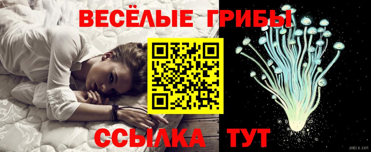 Галлюциногенные грибы прущие грибы  Вход с VPN  Кизилюрт  Псилоцибиновые грибы Psilocybe 